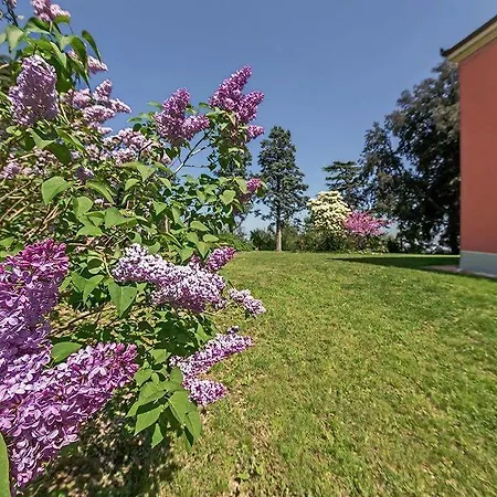 Donna Laura Apartman