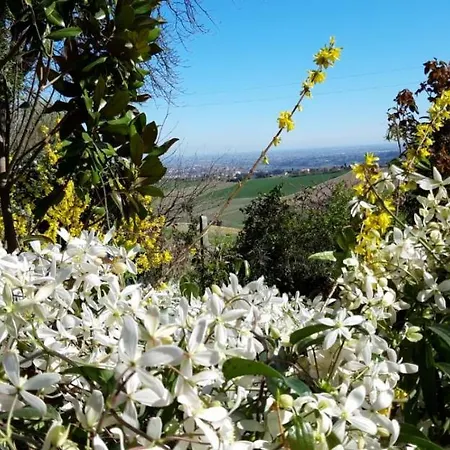 Appartamento Donna Laura