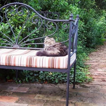 Donna Laura Appartamento Imola