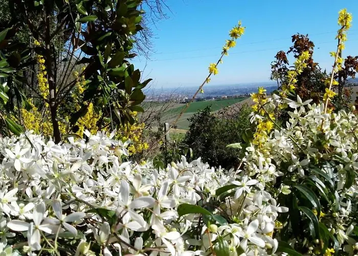 Apartman Donna Laura