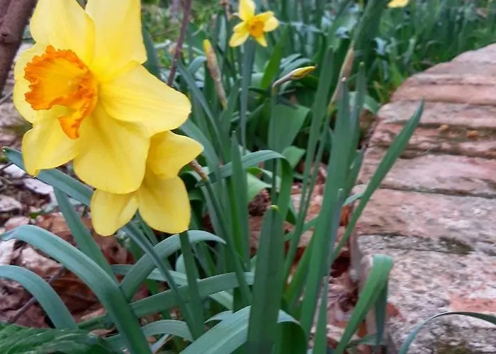 Donna Laura Апартаменты Имола